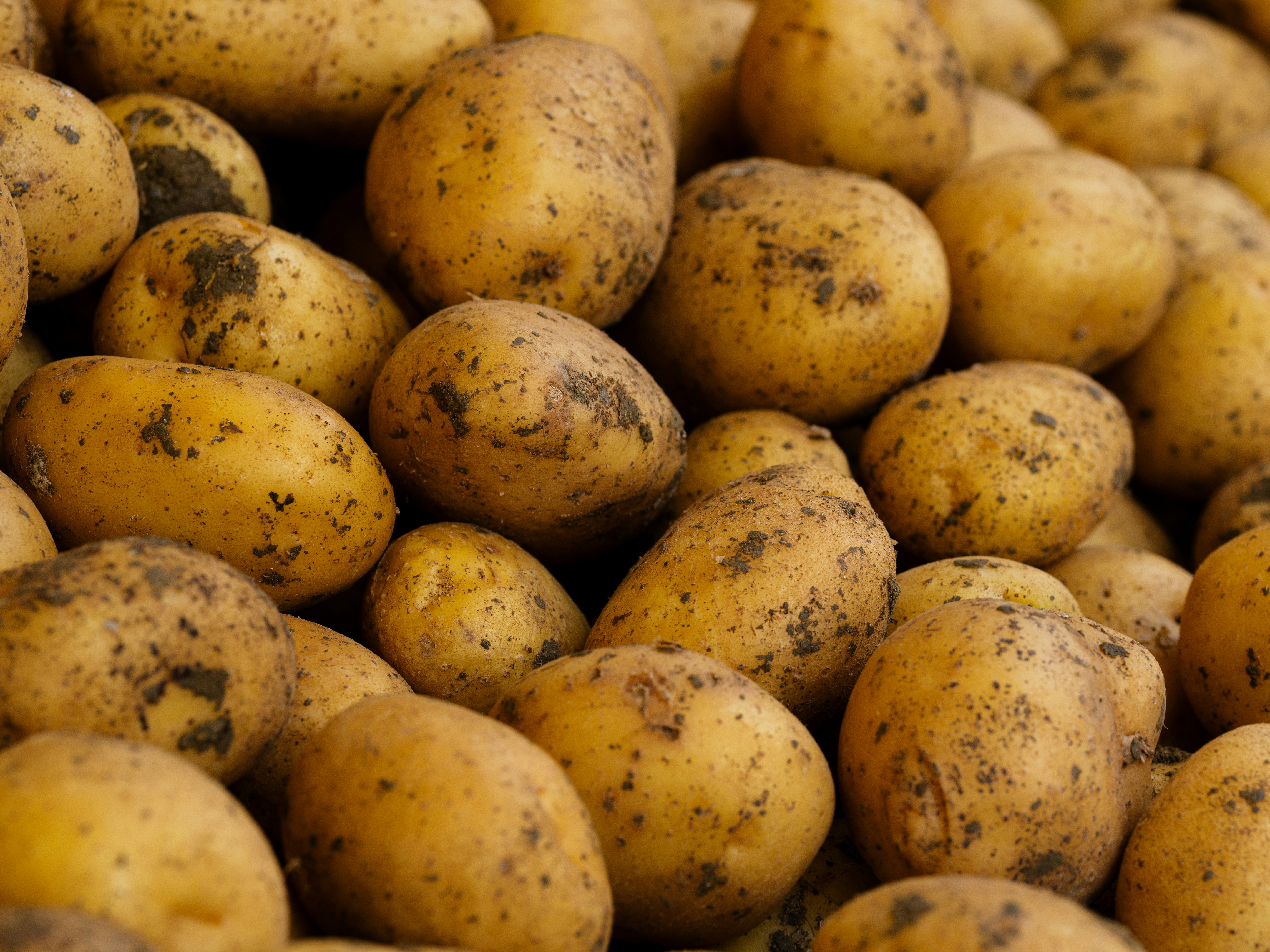 Potatoes: The Ultimate Comfort Food